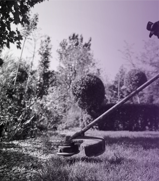 Miscellanous_Service_Section1_1