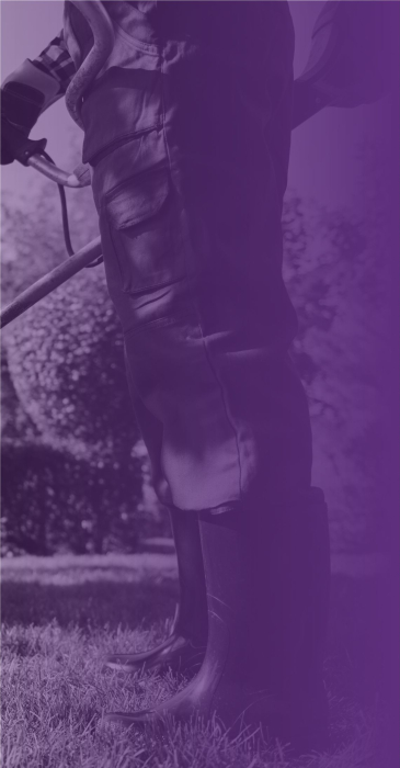 Miscellanous_Service_Section1_2